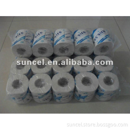 School Toilet Paper 100g